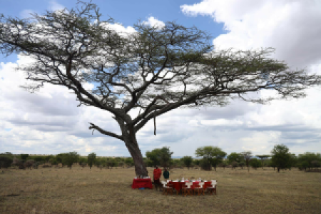Nyabogati Camp