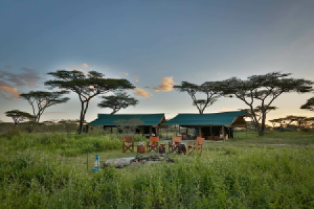 Nyikani Migration Ndutu
