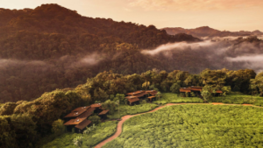 One and only Nyungwe House