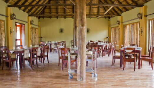 Pakuba Safari Lodge