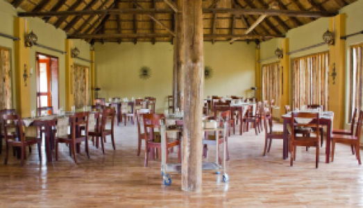 Pakuba Safari Lodge