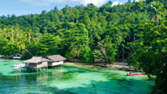 PapuArts Alternative Stay