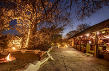 Planet Baobab Lodge