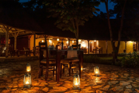 Primate Lodge
