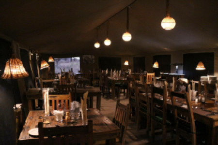 Pure Serengeti Camp
