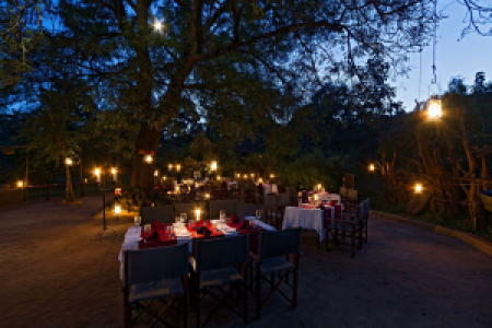Reni Pani Jungle Lodge