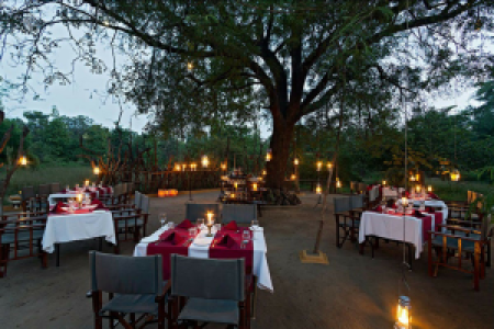Reni Pani Jungle Lodge