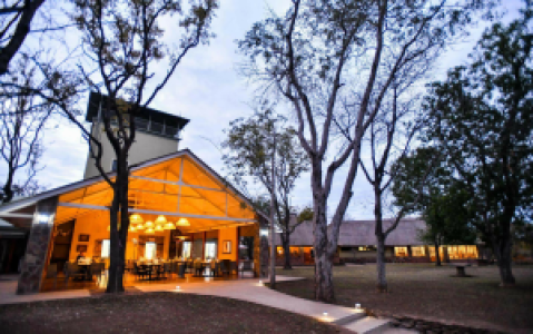 Robins Camp