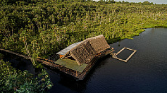 Sacha Lodge