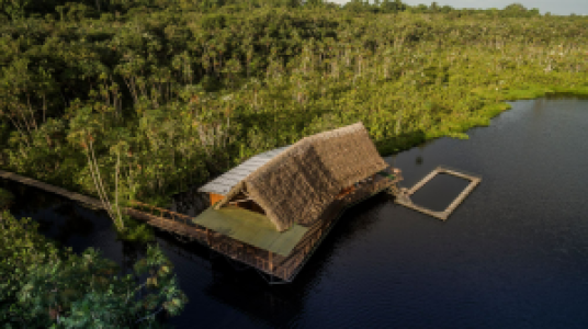 Sacha Lodge