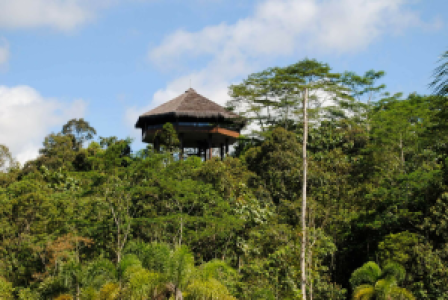 Samboja Lodge