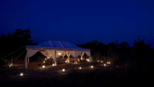 Samode Safari Lodge