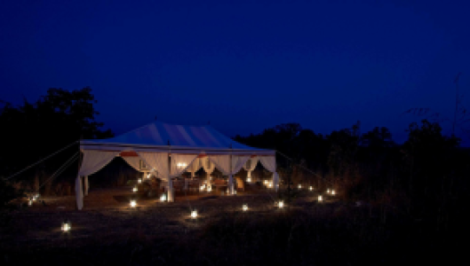 Samode Safari Lodge