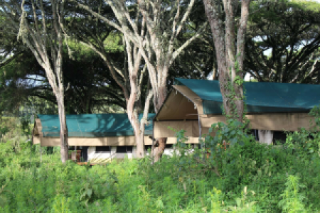 Sanctuary Ngorongoro Crater Camp