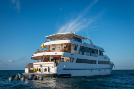 Sea Star Journey