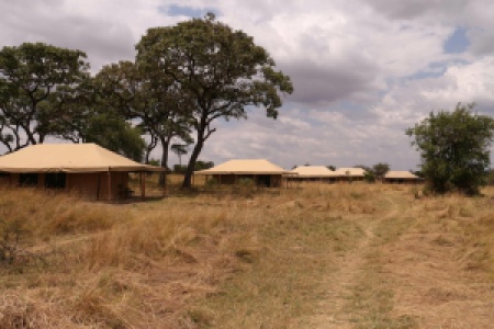 Sense of Wilderness Camp