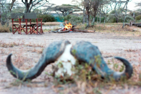 Serengeti Halisi Camp