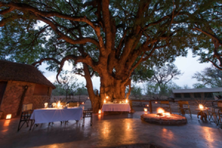 Serolo Safari Camp
