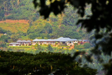 Silverback Lodge