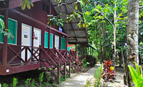 Sukau Greenview