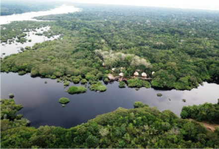 Tariri Amazon Lodge
