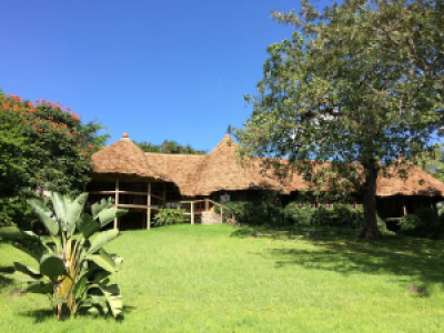 The African House