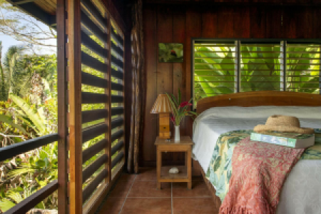 Tiskita Jungle Lodge