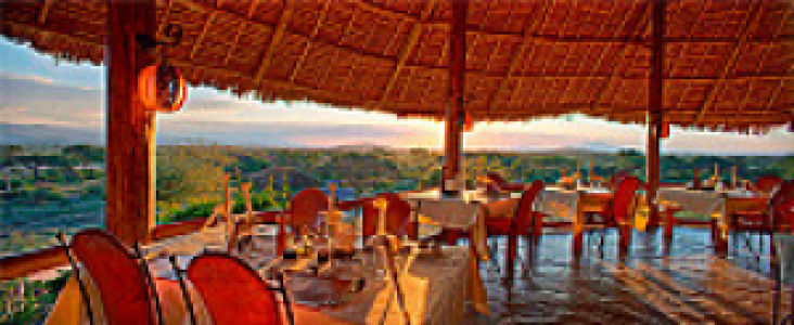 Tortilis Camp