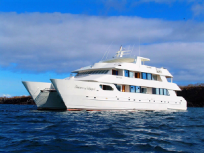 Treasure of Galapagos