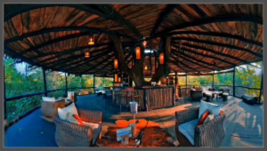 Tree House Hideaway