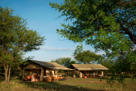 Ubuntu Camp