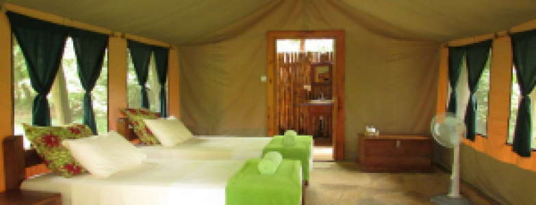 Udzungwa Forest Camp