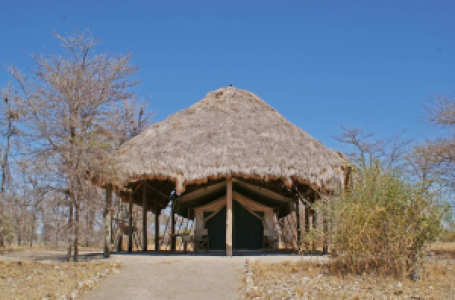 Whistling Thorn Camp