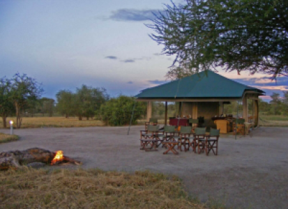 Whistling Thorn Camp