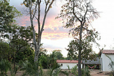 Wolf Camps