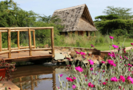Ziwa Bush Lodge
