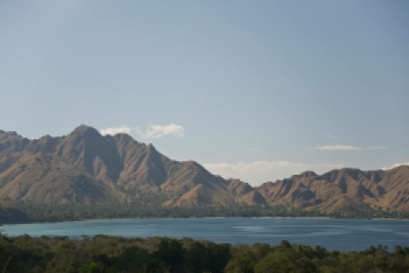 Die Insel Flores image