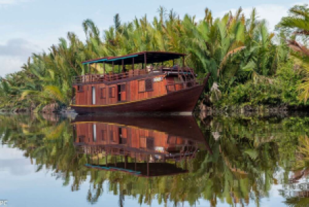 Mit dem Klotok zum Tanjung Puting Nationalpark image