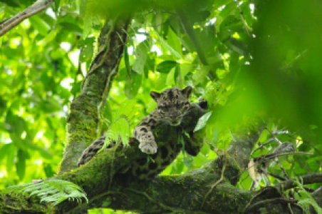 Von Schlammvulkanen und verborgenen Wasserfällen image