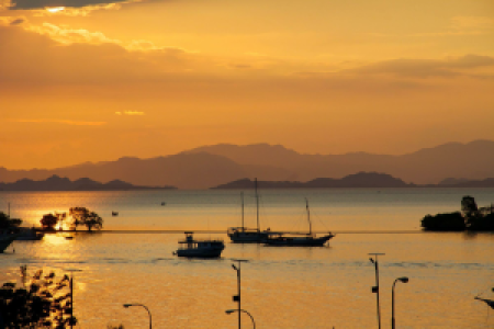 Zurück nach Flores image