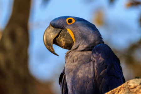 Zurück in die Zivilisation image