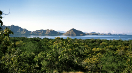 Labuan Bajo image