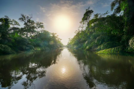 Akaka: Waldelefanten, Hippos und Büffel image