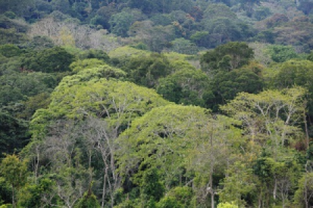 Ankunft in der freien Stadt, Libreville image