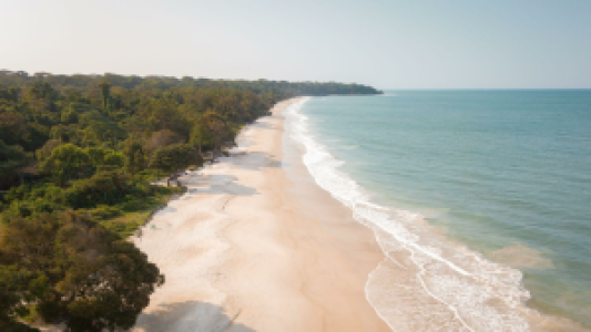 Pongara: zwischen Meer und Dschungel image