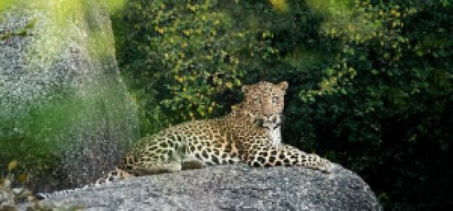 Mit einem Koffer voller Erinnerungen zurückreisen image