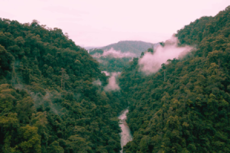 Ankunft in Sumatra image