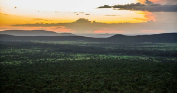 Jambo Kenia! image