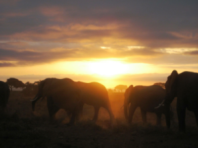 Ankunft in Arusha image