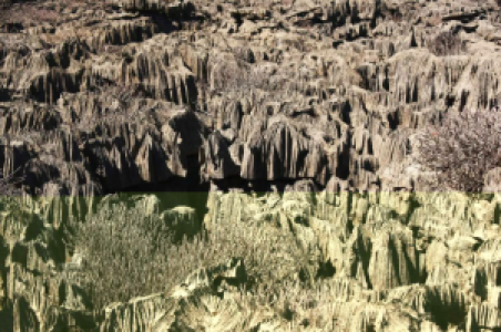 Schwergewichte der Lemuren image